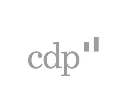 cdp - Cassa depositi e prestiti