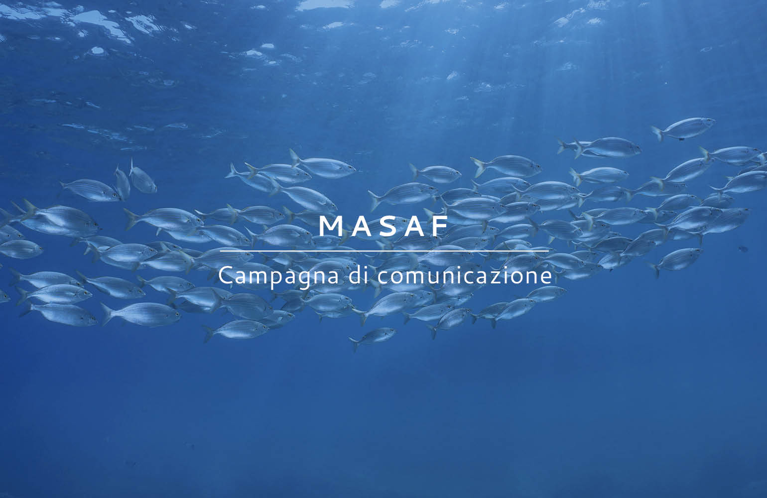 MASAF Campagna di Comunicazione